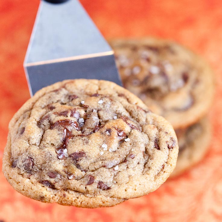 chocolate chip cookie recipe closeup square