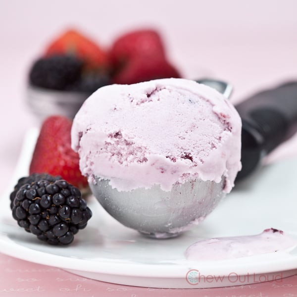 Berry Ice Cream 3