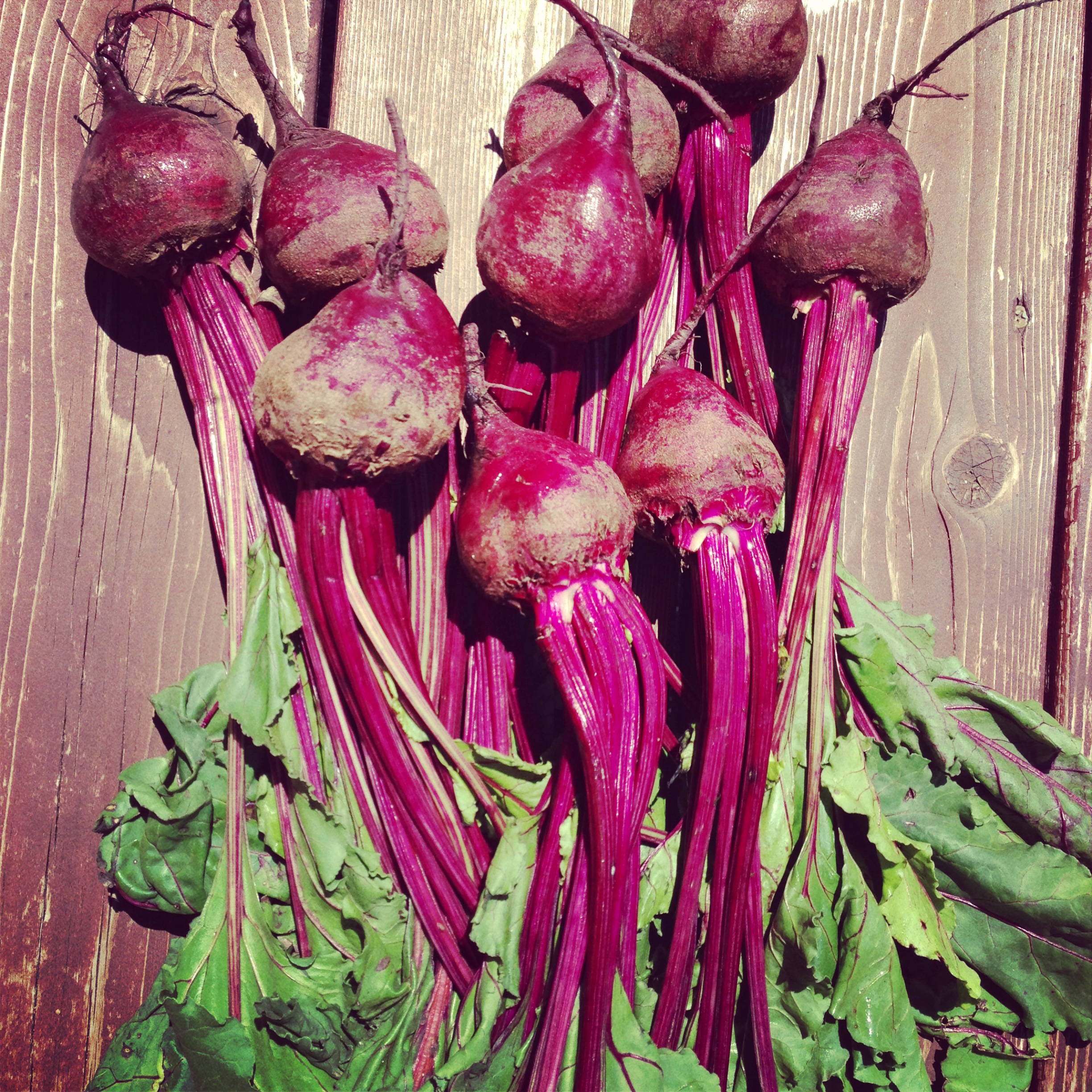 Beet Salad