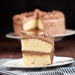 Yellow Cake with Chocolate Whipped Cream Frosting