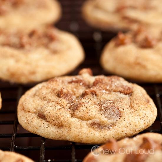 Chewy Soft Snickerdoodles 2