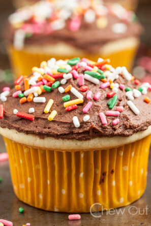 Yellow Cupcake with Chocolate Frosting and Sprinkles