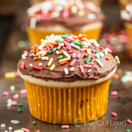 Yellow Cupcake with Chocolate Frosting and Sprinkles