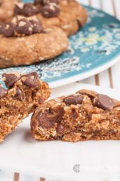 Flourless Peanut Butter Oatmeal Cookies