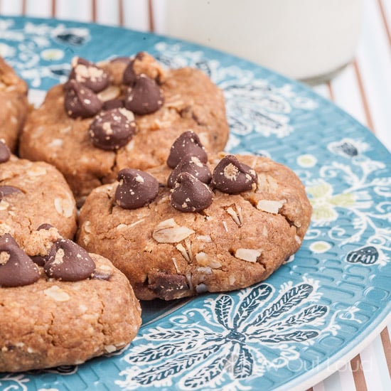 Flourless Peanut Butter Oatmeal Chocolate Cookies