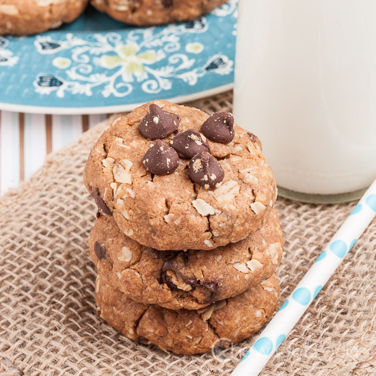 Gluten Free Peanut Butter Oatmeal Cookies