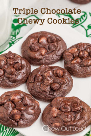 A Plate of Chocolate Cookies