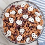 cinnamon sugar candied nuts snack mix