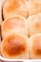 homemade dinner rolls