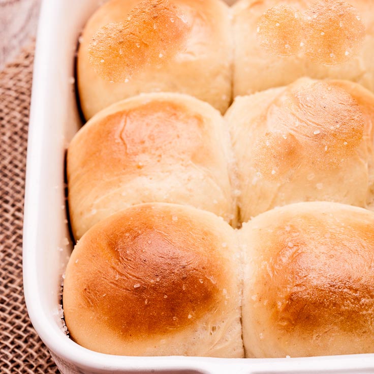 homemade dinner rolls