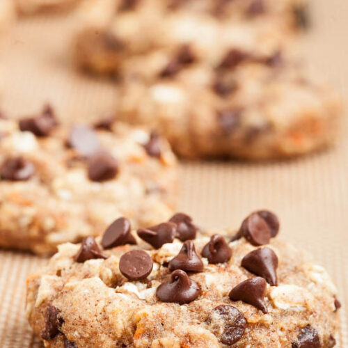 Oatmeal Energy Cookies (nutfree) Chew Out Loud