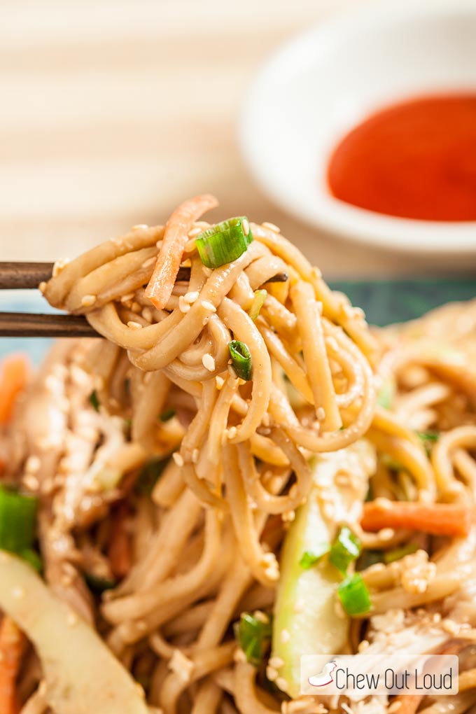  Asian Cold Sesame Noodles with Sliced Onion