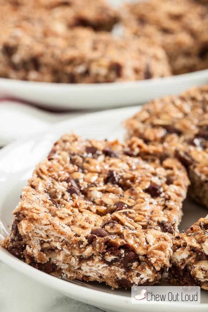 Protein Granola Bar