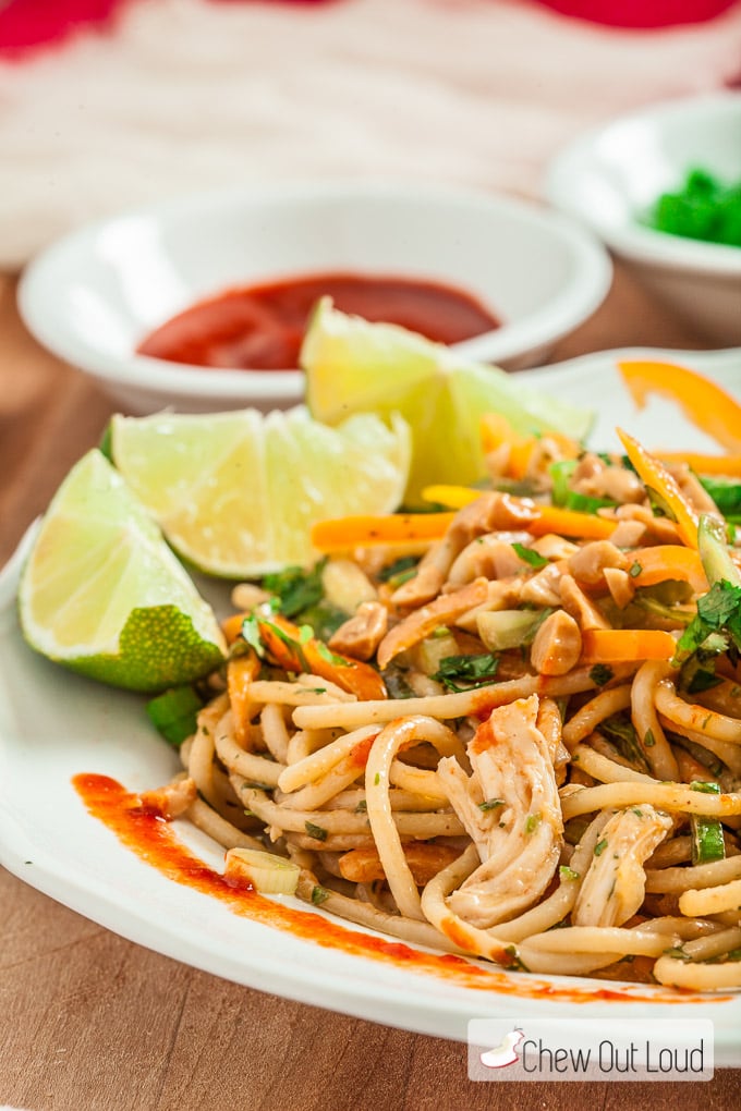 Spicy thai peanut noodles on a white plate