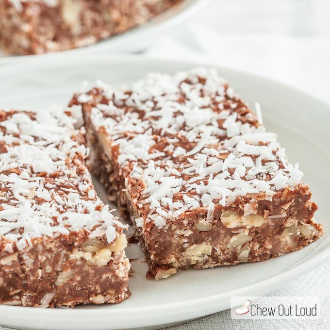 Chocolate Oatmeal Bars with Shredded Coconut