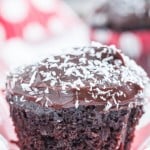 Chocolate Zucchini Cupcakes with Shredded Coconut