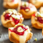 Cranberry Bites with Roasted Pistachios