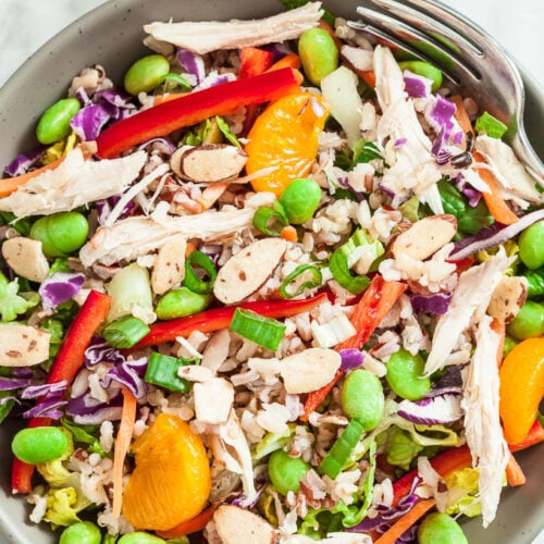asian brown rice salad dressing Lee Kum Kee Spicy Brown Rice Salad
