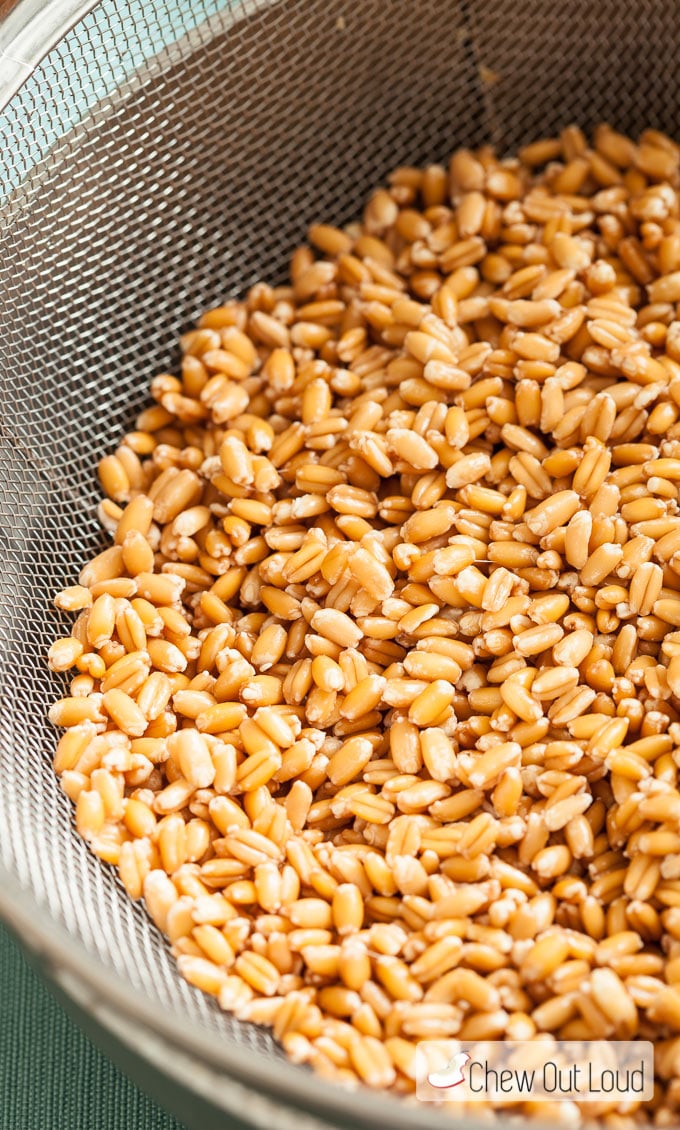 farro salad