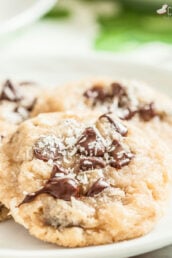 Coconut Chocolate Chip Cookies