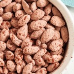 Close up of Cocoa Almonds