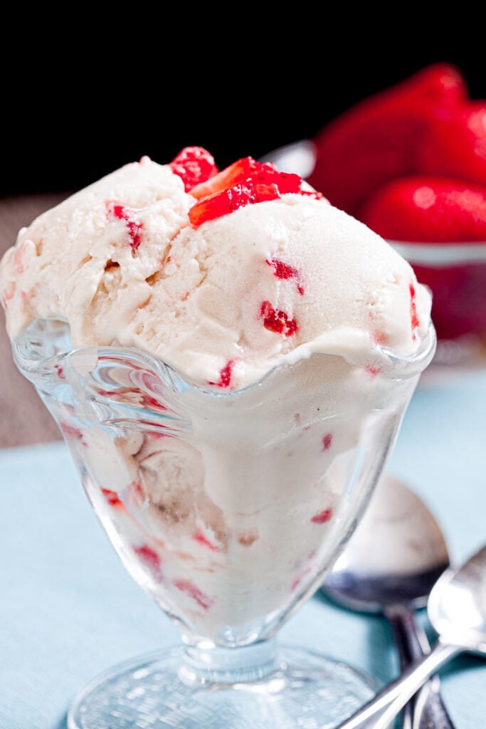 19 Best Ice Cream Products and Tools - How to Make Homemade Ice Cream