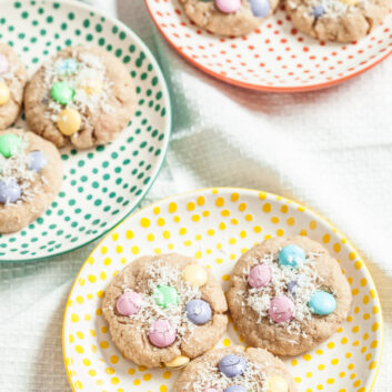 chocolate coconut cookies