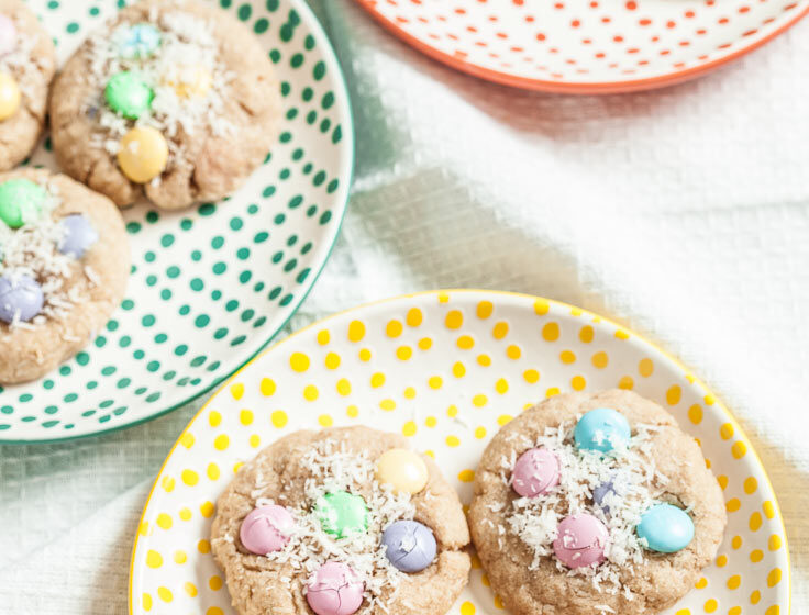 chocolate coconut cookies