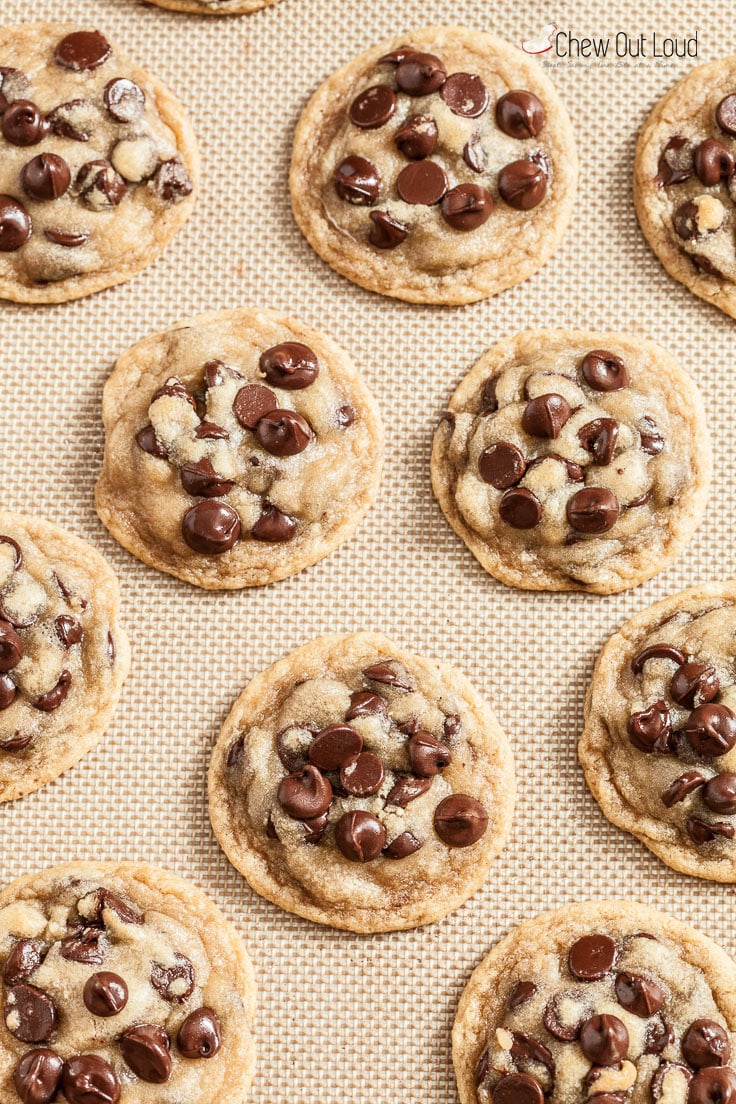 gluten-free chocolate chip cookies