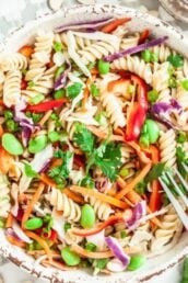 Asian Pasta Salad with Ginger Sesame Dressing