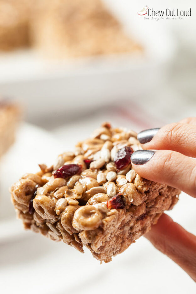 NutFree, GlutenFree Cereal Protein Bars Chew Out Loud