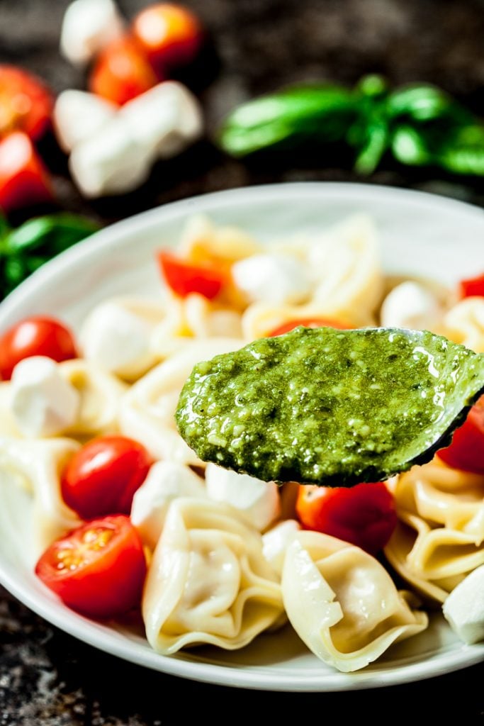 tortellini pasta salad with pesto on a plate