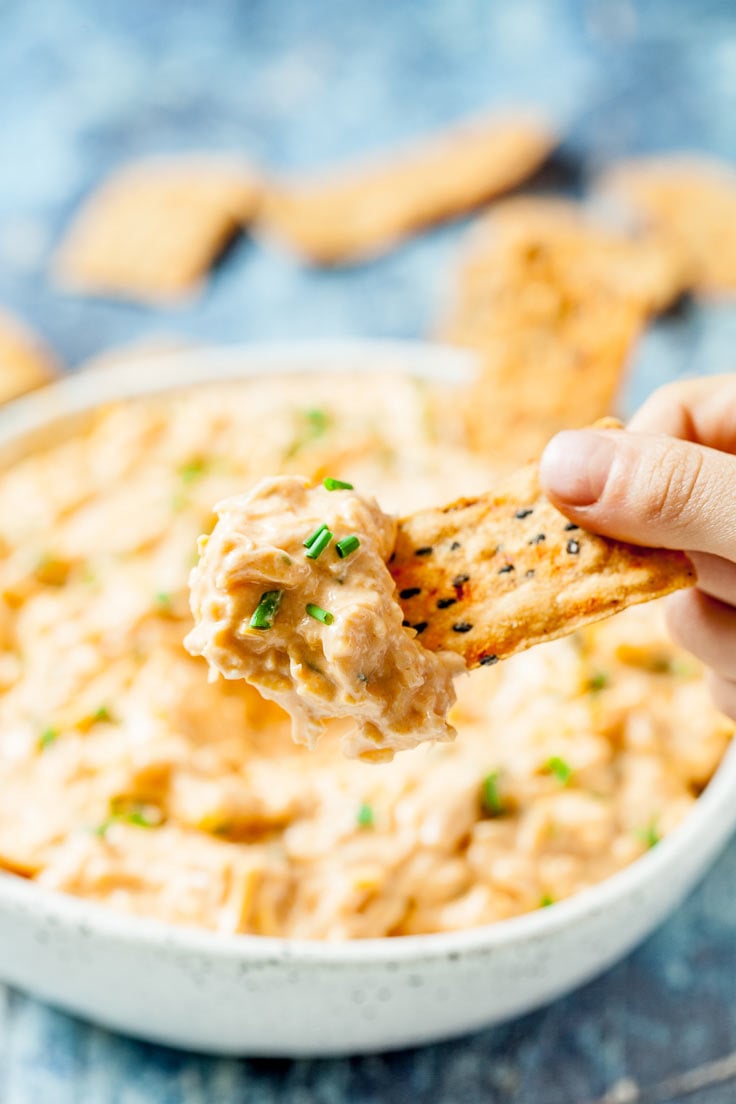 Easy Cheesy Chicken Dip | Chew Out Loud