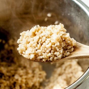 instant pot brown rice, perfect brown rice, instant pot rice recipe