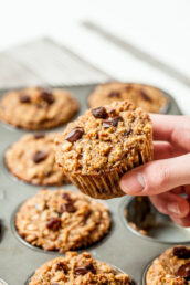 Closed up of muffins with chocolate chunk