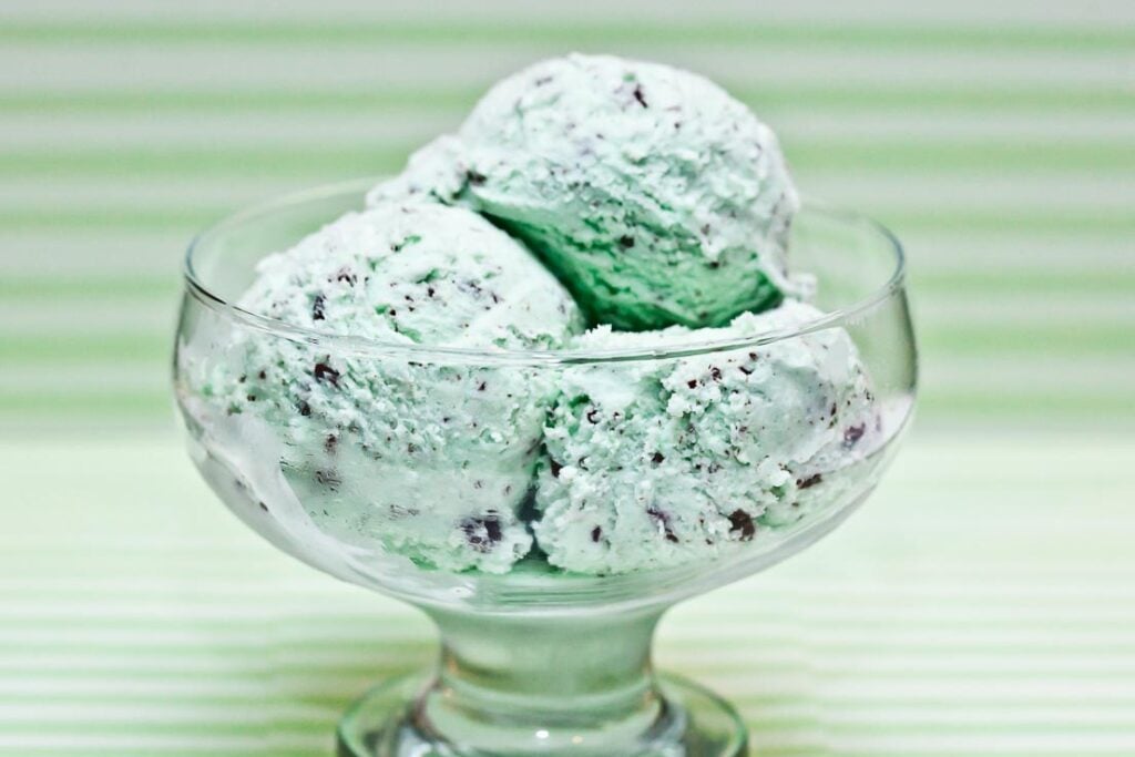 Homemade Mint Chocolate Chip Ice Cream | Chew Out Loud