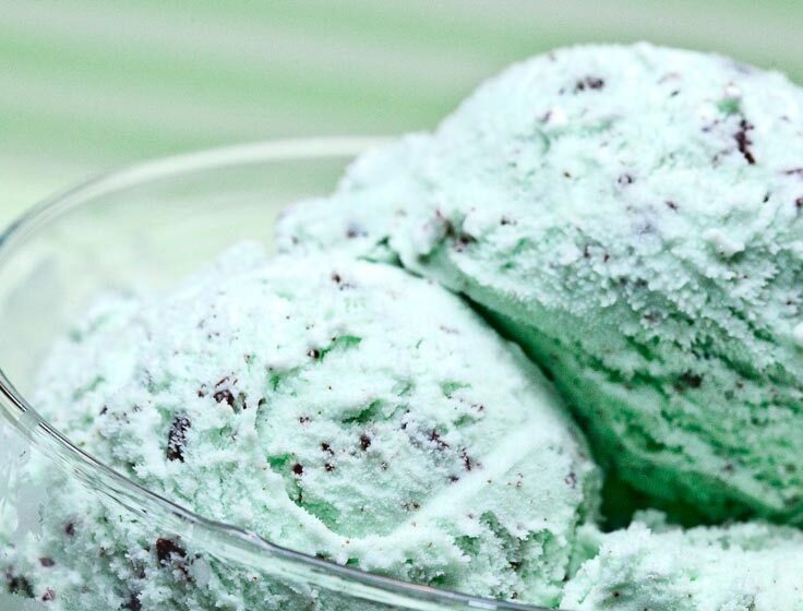 Mint Chip Ice Cream, Mint Chocolate Chip Ice Cream, Ice Cream Recipe, Homemade Ice Cream