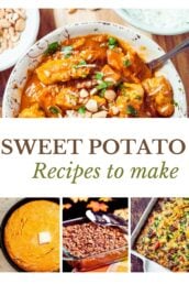sweet potato recipes collection