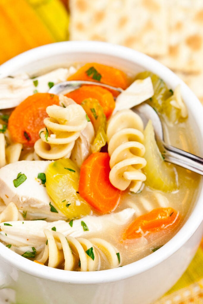 Chicken Noodle Soup in white bowl