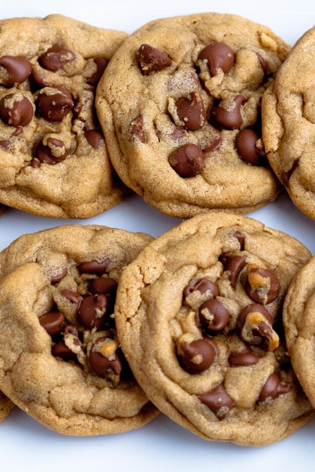 Peanut butter chocolate chip cookies on a white plate