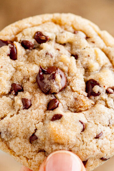 chewy chocolate chip cookies americas test kitchen