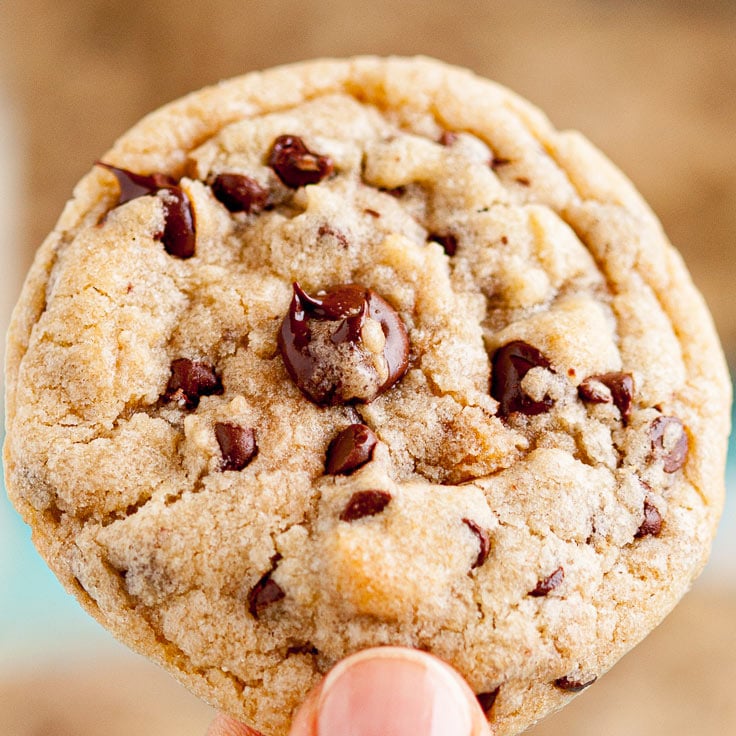 How To Make Chewy Chocolate Chip Cookies Bakery Style Chew Out Loud