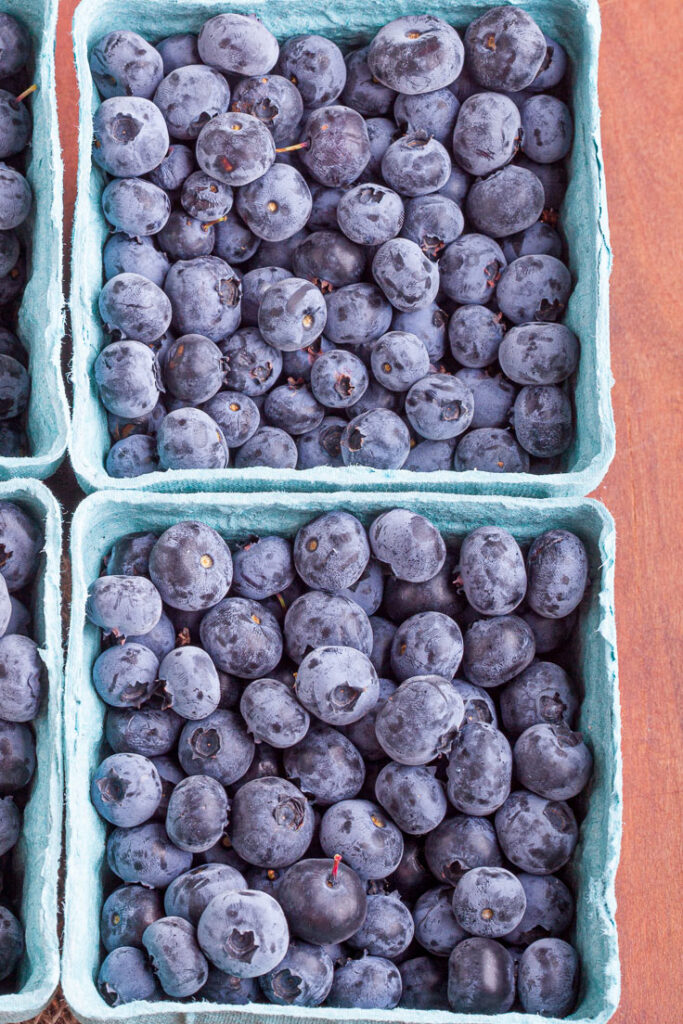 fresh blueberries