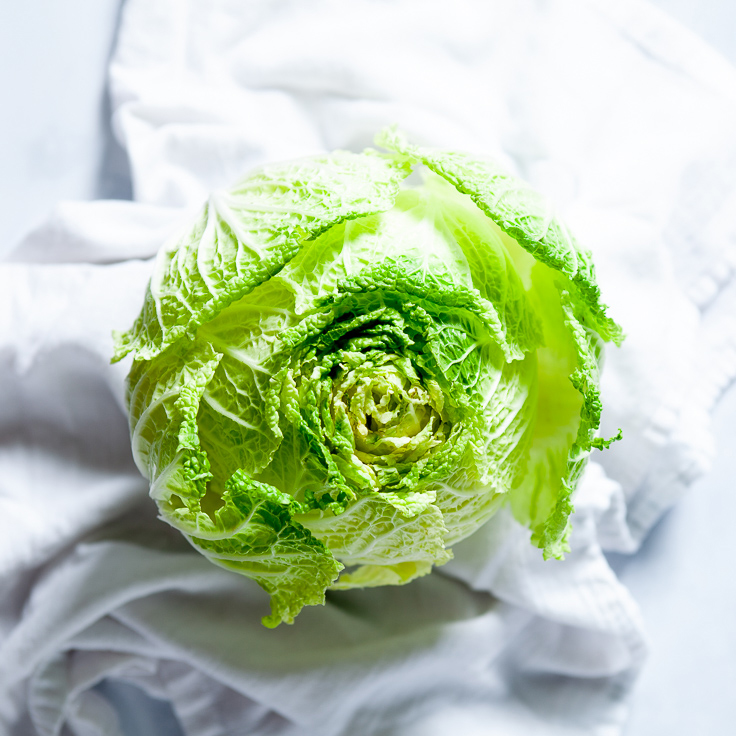 napa cabbage