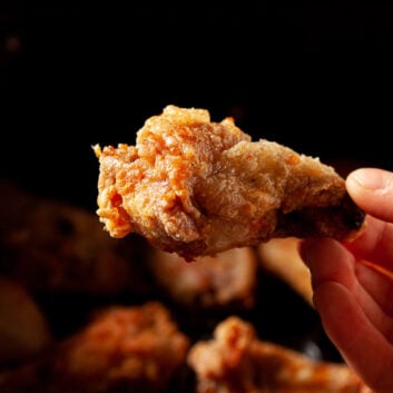 air fryer chicken wing close up