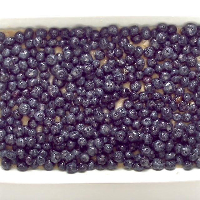 Blueberry filling layered on on top of crust mixture to make blueberry crumb bars.