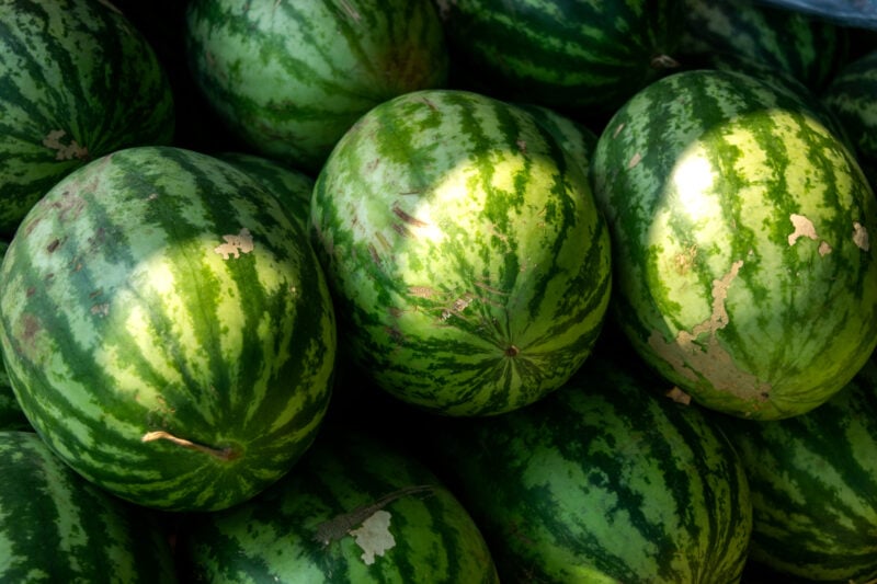 bin full of watermelons