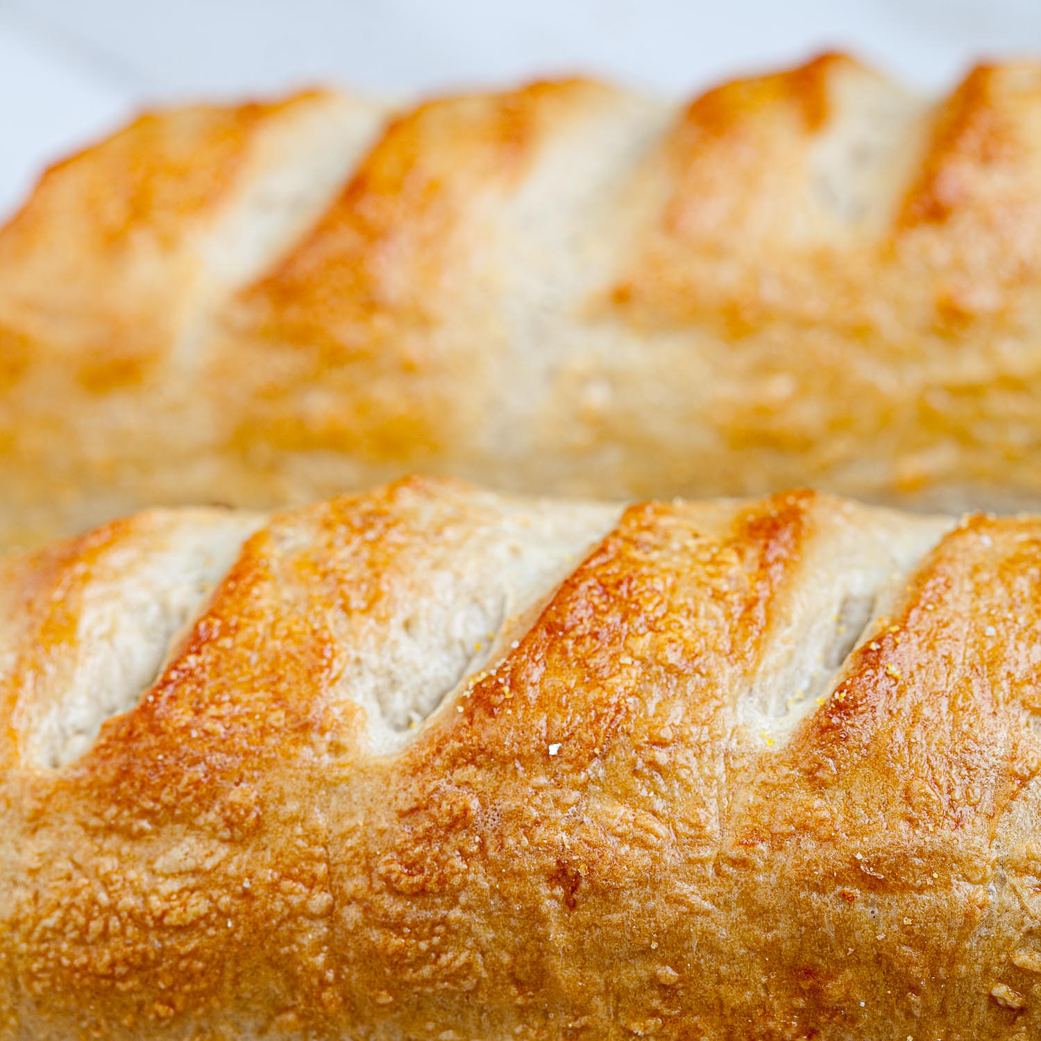 Easy french bread