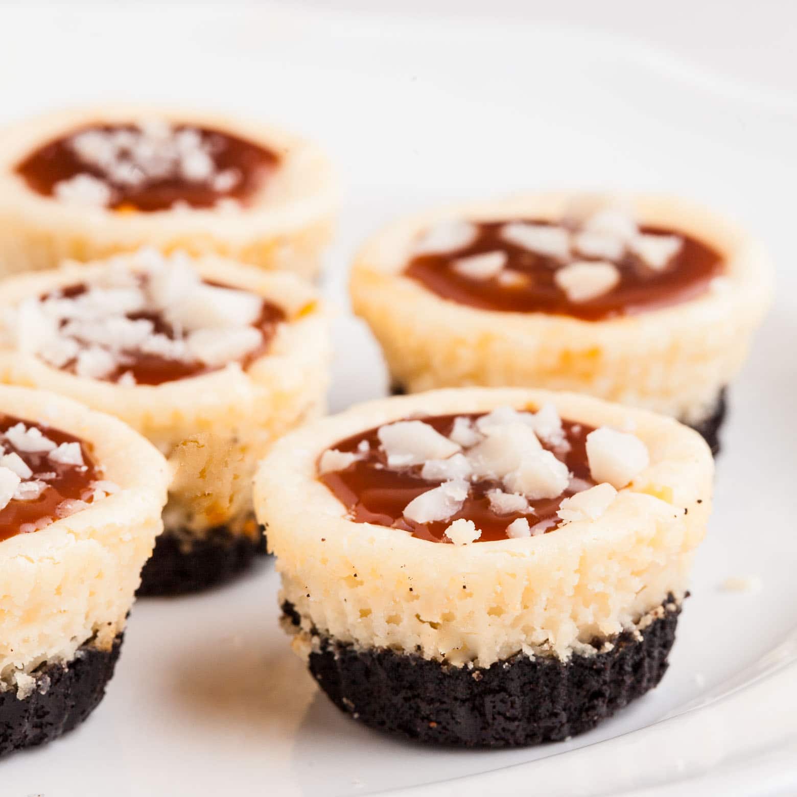 salted caramel cheesecake bites finished.