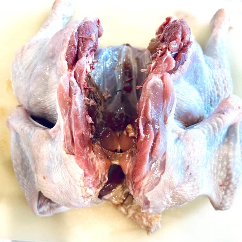 backbone removed from turkey.